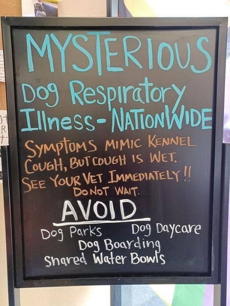 dog respiratory illness.jpg